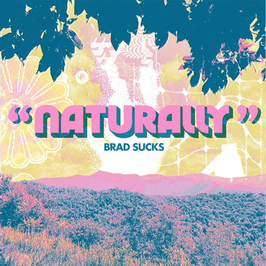 Album cover of 'Naturally' by Brad Sucks